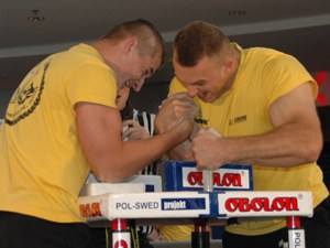 Polska Liga Zawodowa