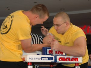 Polska Liga Zawodowa