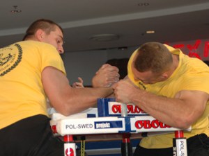 Polska Liga Zawodowa