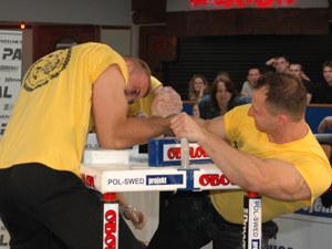 Polska Liga Zawodowa