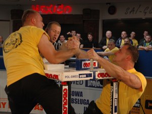 Polska Liga Zawodowa