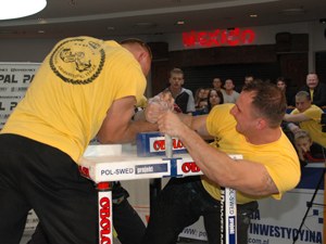 Polska Liga Zawodowa