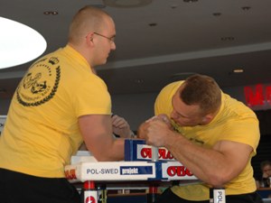 Polska Liga Zawodowa