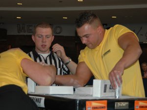 Polska Liga Zawodowa