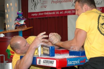 Polska Liga Zawodowa