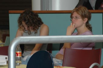 Polska Liga Zawodowa