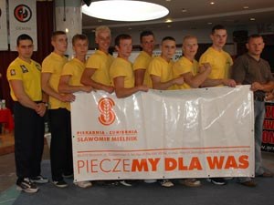 Polska Liga Zawodowa