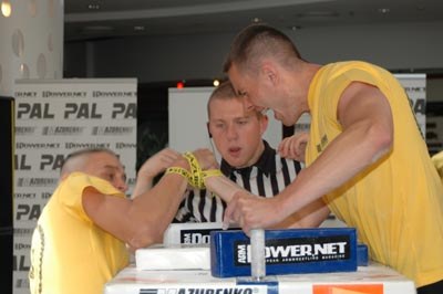 Polska Liga Zawodowa