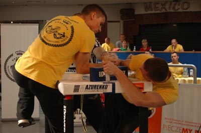 Polska Liga Zawodowa