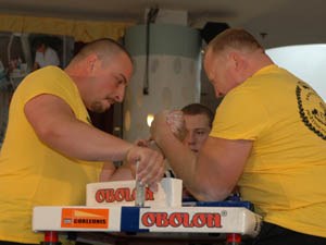 Polska Liga Zawodowa