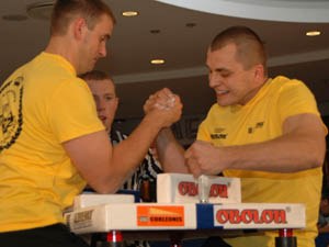 Polska Liga Zawodowa