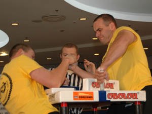 Polska Liga Zawodowa