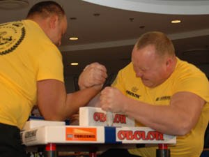 Polska Liga Zawodowa