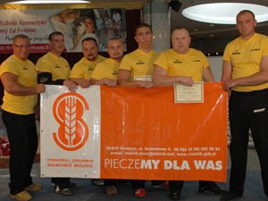 Polska Liga Zawodowa