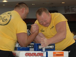 Polska Liga Zawodowa