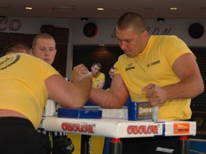 Polska Liga Zawodowa