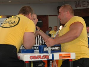 Polska Liga Zawodowa