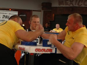 Polska Liga Zawodowa