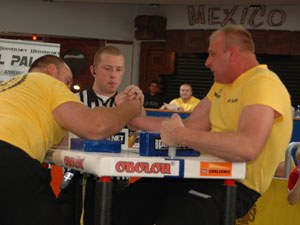 Polska Liga Zawodowa