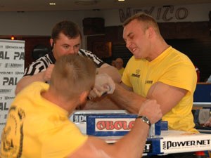 Polska Liga Zawodowa