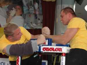 Polska Liga Zawodowa