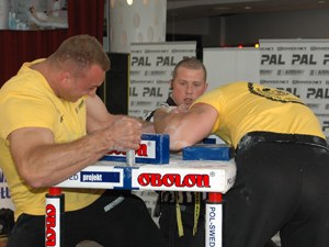 Polska Liga Zawodowa