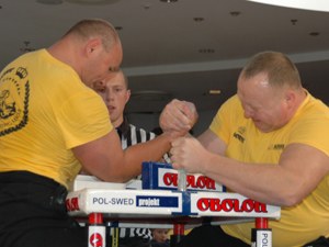 Polska Liga Zawodowa