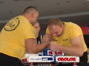 Polska Liga Zawodowa