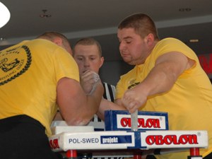 Polska Liga Zawodowa