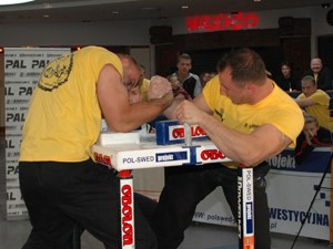 Polska Liga Zawodowa