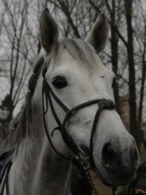 Polska Vs Reszta Swiata