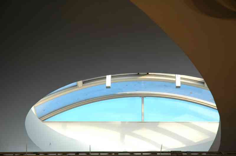 Professional Fitmax League