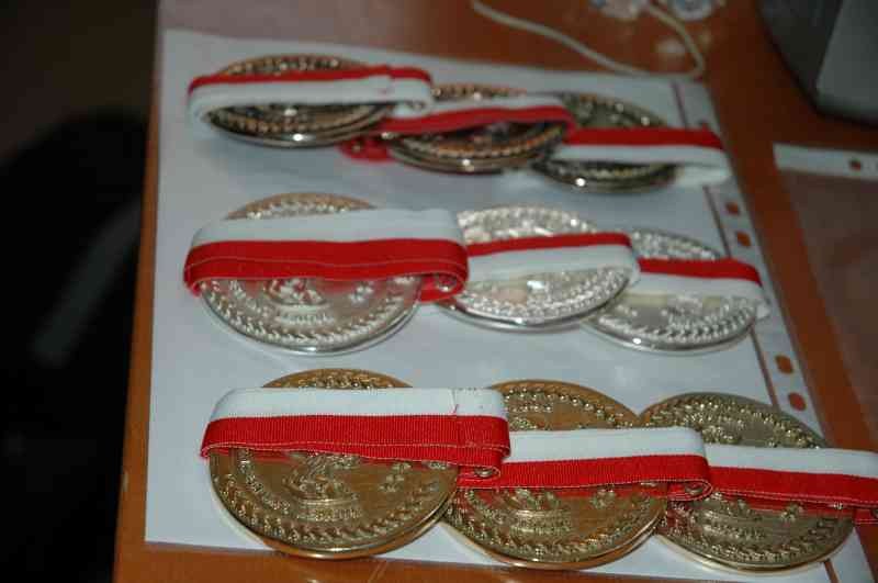 Professional Fitmax League