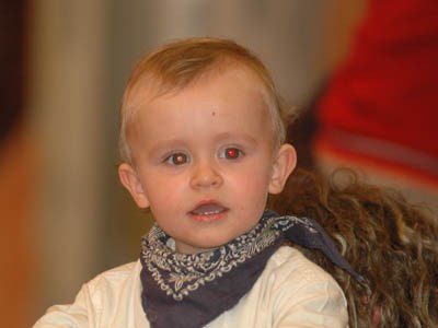 Professional Fitmax League