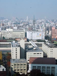 Reprezentacja Polski W Tokyo