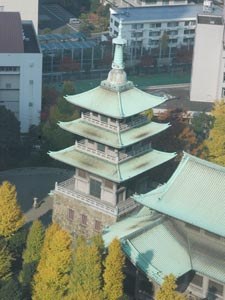 Reprezentacja Polski W Tokyo