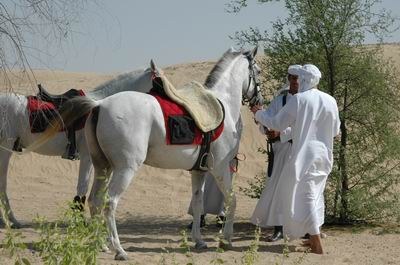 Vendetta In Dubai Preparing