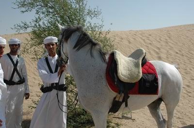 Vendetta In Dubai Preparing