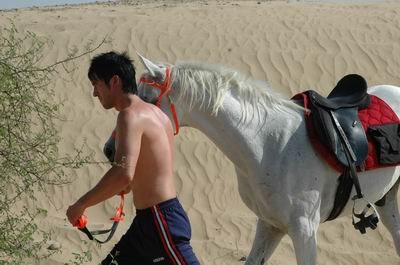 Vendetta In Dubai Preparing