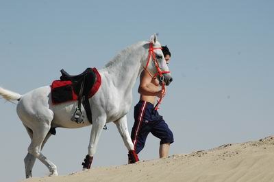 Vendetta In Dubai Preparing