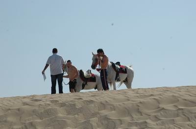 Vendetta In Dubai Preparing