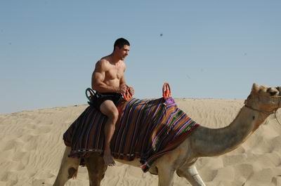 Vendetta In Dubai Preparing