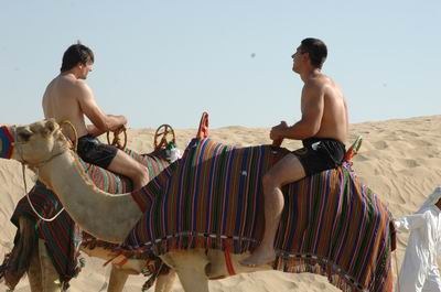 Vendetta In Dubai Preparing