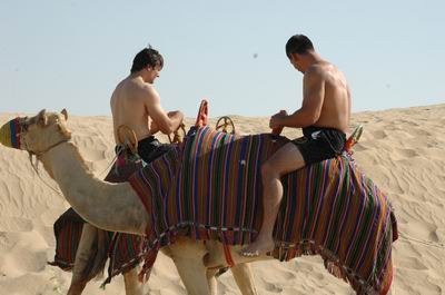 Vendetta In Dubai Preparing