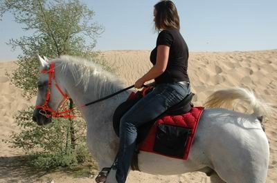 Vendetta In Dubai Preparing