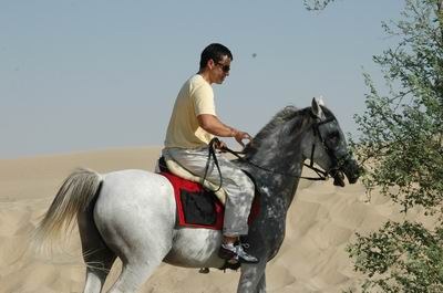 Vendetta In Dubai Preparing