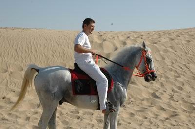 Vendetta In Dubai Preparing