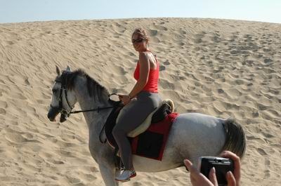 Vendetta In Dubai Preparing