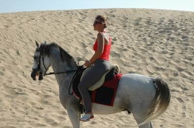 Vendetta In Dubai Preparing