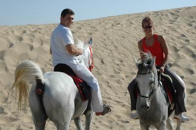 Vendetta In Dubai Preparing